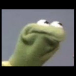 Meet your Posher, Lexi